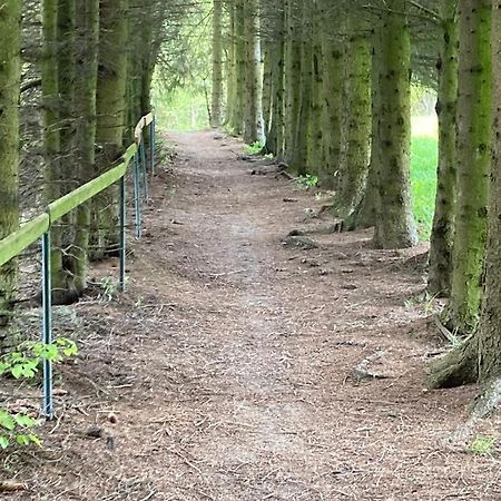 Apartman Brcalnik Sumavske Strane Hojsova Stráž Exteriör bild