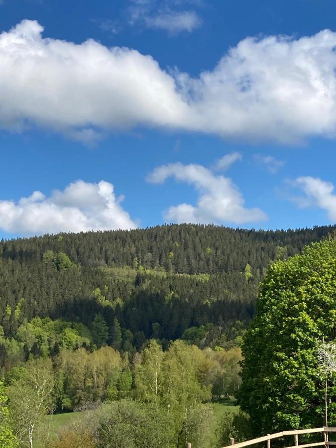 Apartman Brcalnik Sumavske Strane Hojsova Stráž Exteriör bild